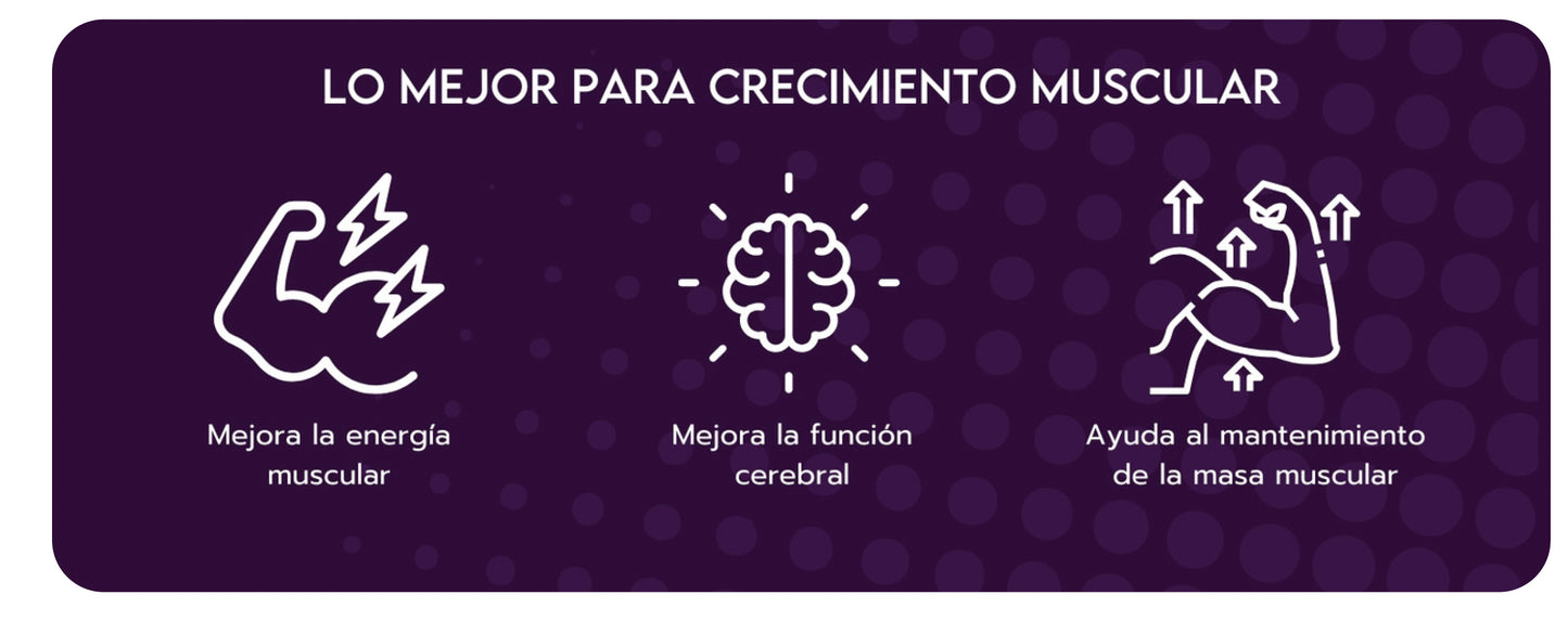 DUO CREATINA MONOHIDRATADA CREAPURE®